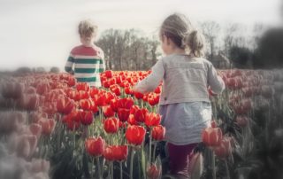 Frühling - raus damit