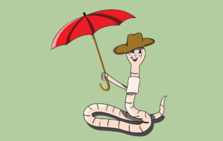 Regenwurm Orakel
