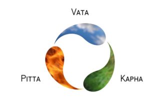 Ayurveda Kapha