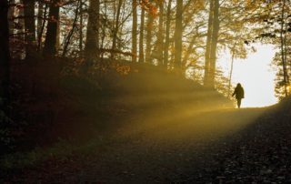 Der Weg