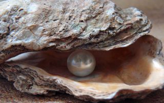 Perle 1200x600